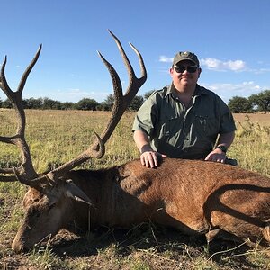 Free-range red stag MG Hunting