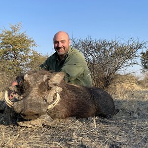 Hunting Warthog Botswana