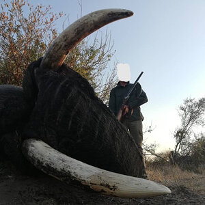 Elephant Hunt Botswana