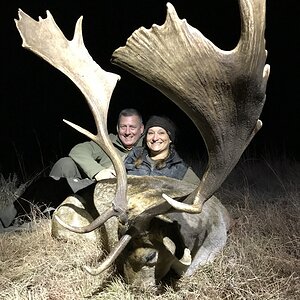 Fallow Deer Hunt South Africa