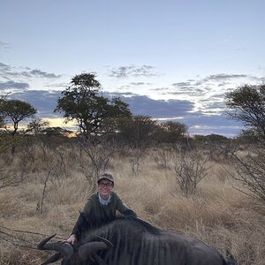 Blue Wildebeest Hunt Botswana