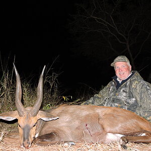 Bushbuck