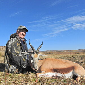 Common Springbuck