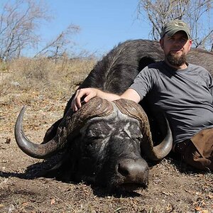 Buffalo Hunt South Africa