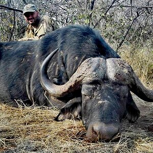 Buffalo Hunt South Africa