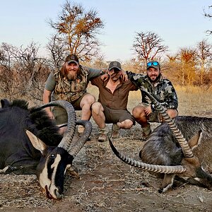 Sable & Waterbuck Hunt South Africa