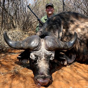 Buffalo Hunt South Africa