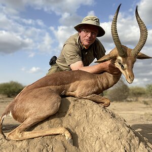 Gerenuk Hunt Tanzania