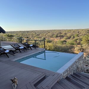 Hunting Accommodation Limpopo South Africa