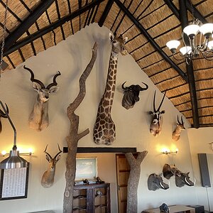 Trophy Room