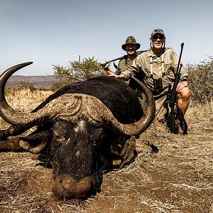 Buffalo Hunting Limpopo South Africa