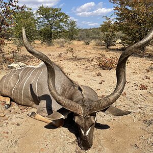 Kudu Hunting Limpopo South Africa