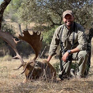 Fallow Deer Hunt in Spain