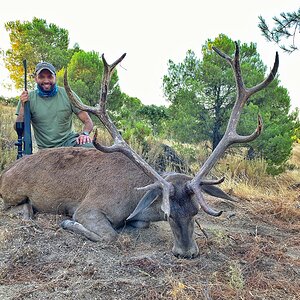 Stag Down Hunt in Spain