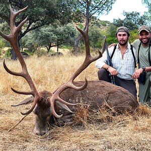 Stag Hunt in Spain