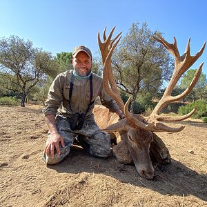 Super Gold Stag 215 Points Hunt in Spain