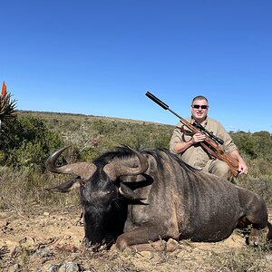 Blue Wildebeest Hunting South Africa