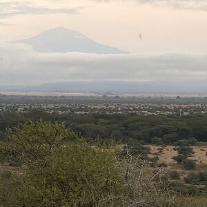 Tanzania Nature