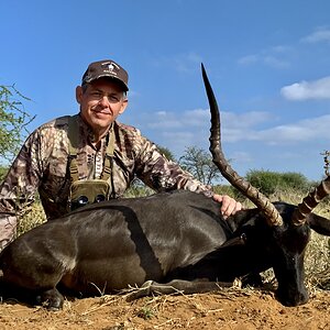 Black Impala Hunt South Africa