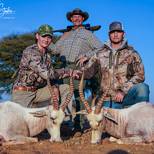 Hunting White Blesbok South Africa
