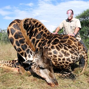 Giraffe Hunting South Africa