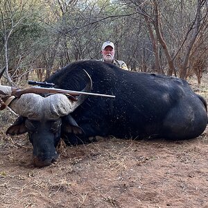 Buffalo Hunt South Africa