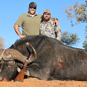 Buffalo Hunt South Africa