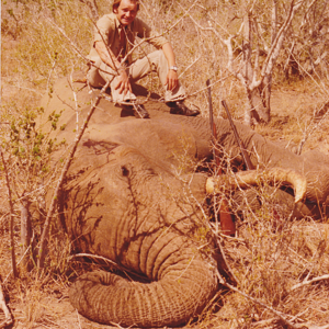Elephant Hunt Kenya