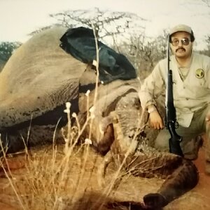 Elephant Hunting