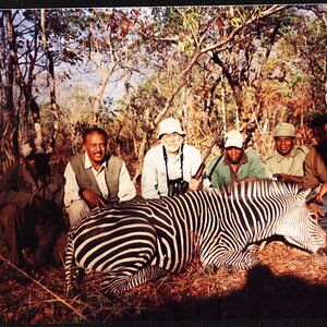 Zebra Hunting