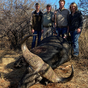 South African Buffalo Hunt