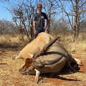 South African Eland Hunt
