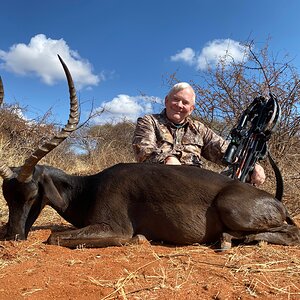 Black Impala Crossbow Hunting South Africa