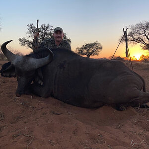 Buffalo Cow Hunt South Africa