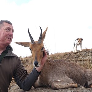 Mountain Reedbuck Hunt South Africa