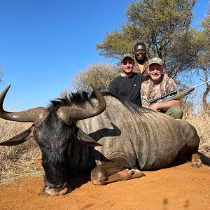 Blue Wildebeest Hunt South Africa