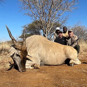 Eland Hunt South Africa