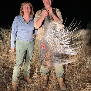 Porcupine Hunt South Africa