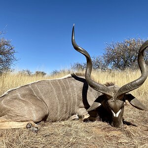 Kudu hunting in Namibia with Zana Botes Safari