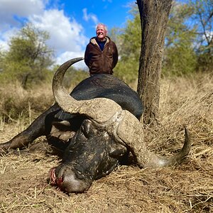 Buffalo Hunt South Africa