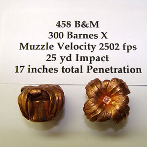 458 B & M 300 Barnes X Ammunition