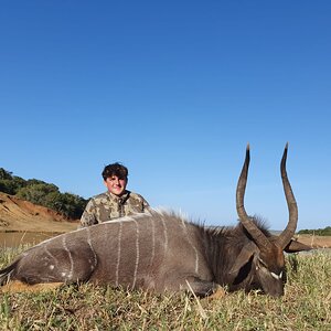 Nyala Hunt Eastern Cape South Africa