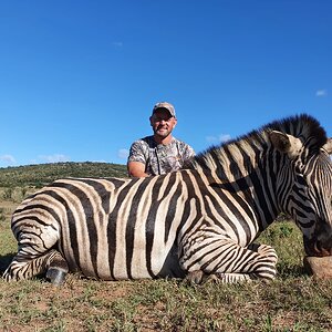 Zebra Hunt Eastern Cape South Africa