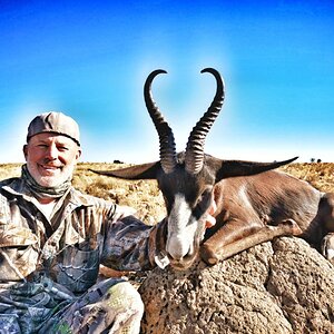 Springbok Hunt Eastern Cape South Africa