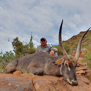 Waterbuck Hunt Eastern Cape South Africa