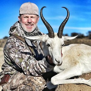 White Springbok Hunt Eastern Cape South Africa