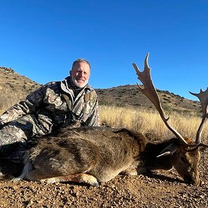 Fallow Deer Hunt Eastern Cape South Africa