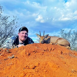 Steenbuck Hunting South Africa