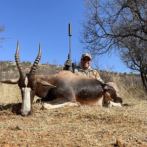 Blesbok Hunting South Africa