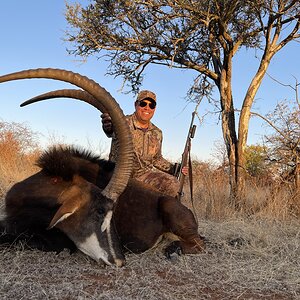 Sable Hunting South Africa